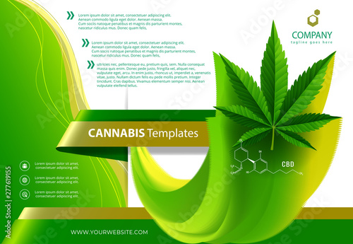 Marijuana plant and cannabis oil bottles vector.