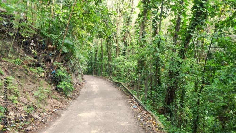 Walking down a curved paved road in Ocho Rios with trash littering side of road and damaged railing on the other on tropical island of Jamaica with lush green foliage, trees and vines lining the road. Walking down a curved paved road in Ocho Rios with trash littering side of road and damaged railing on the other on tropical island of Jamaica with lush green foliage, trees and vines lining the road.