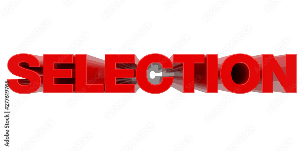 SELECTION word on white background 3d rendering SELECTION word on white background 3d rendering