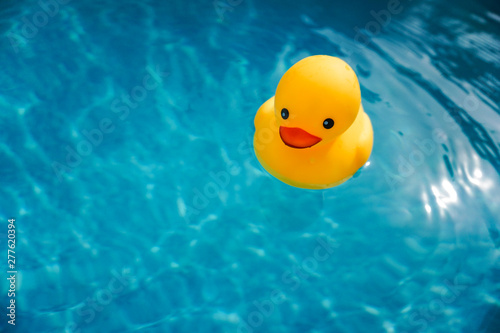 A yellow rubber duck afloat in a swimming  pool