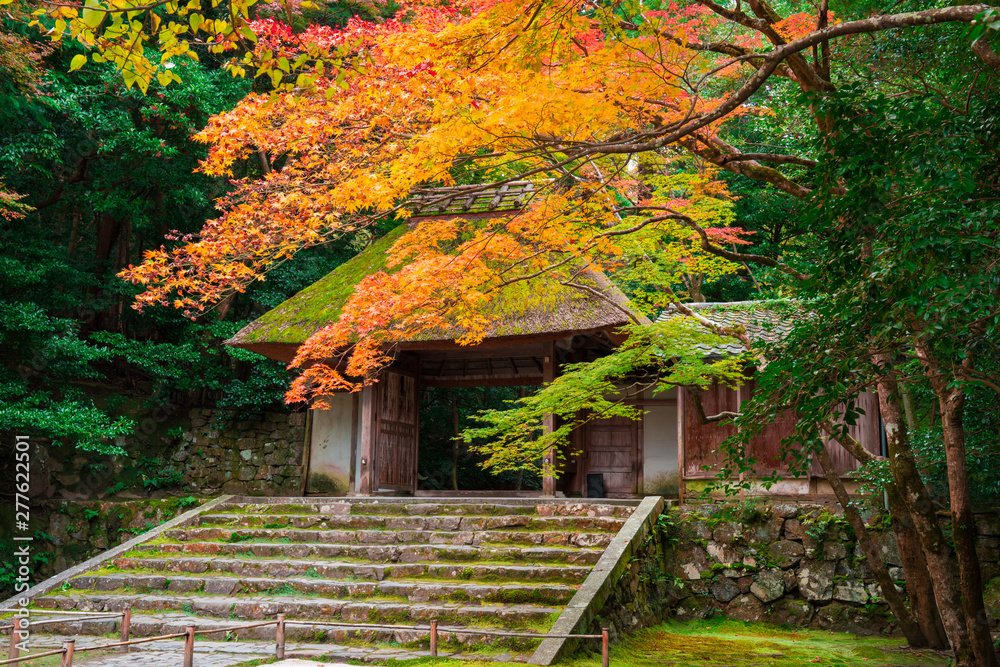 京都 法然院山門と紅葉 京都 法然院山門と紅葉