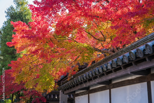 京都　南禅寺　天授庵の紅葉 © Route16