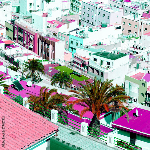 Tropical City view. Canary island. Travel concept