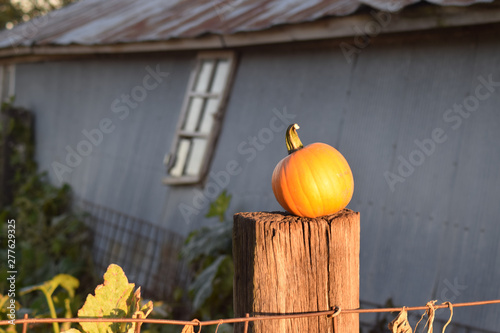 Pumpkin on a post near an old farm building