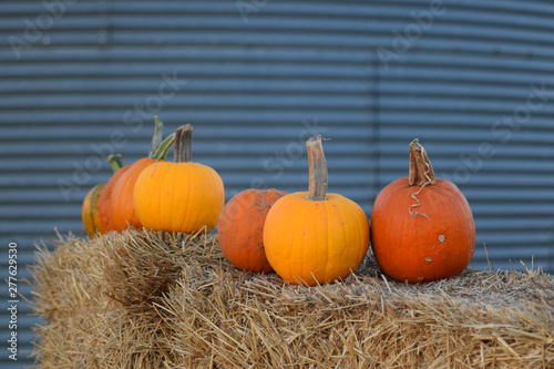 Pumpkins on a Hay Bale at the Pumpkin Patch