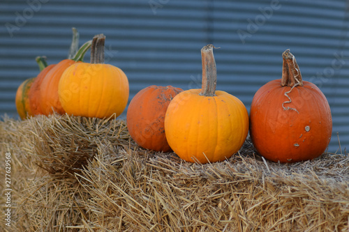 Pumpkins on a Hay Bale at the Pumpkin Patch