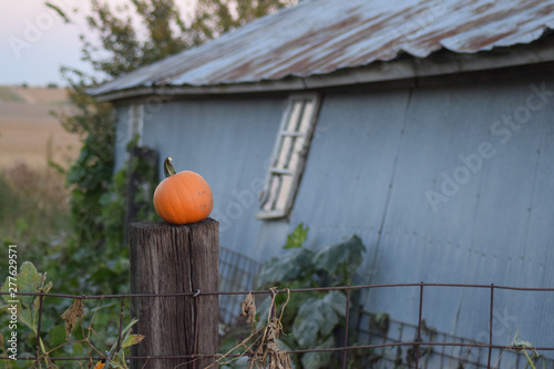 Pumpkin atop a wooden fence post near an old farm building