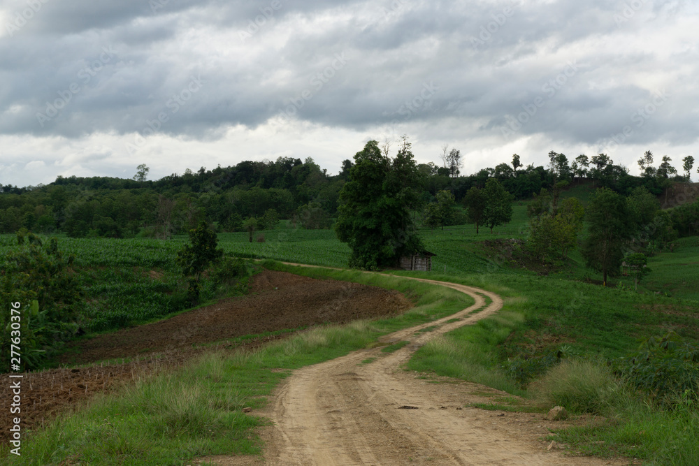 The rural route at the time before the light in the wet rainy season.