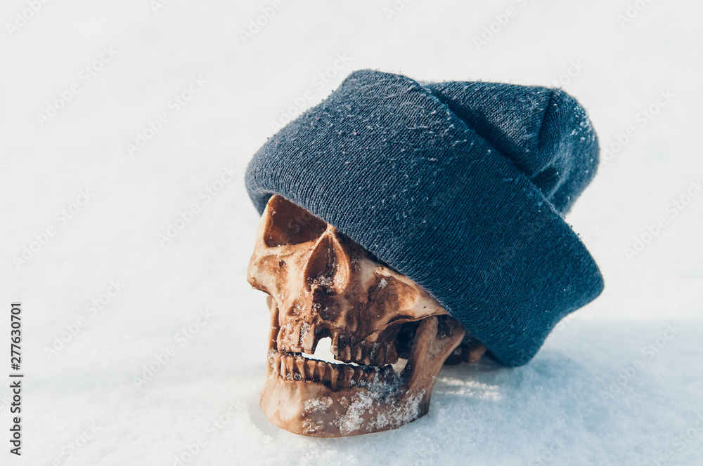 skeleton dressed in a winter hat Amazon.com: Evervibe 4 Pcs 12 ft Skeleton Santa Hats and Scarves Giant  Skeleton Costume Accessories Clothes for Christmas Decoration(Long Plush) :  Clothing, Shoes & Jewelry