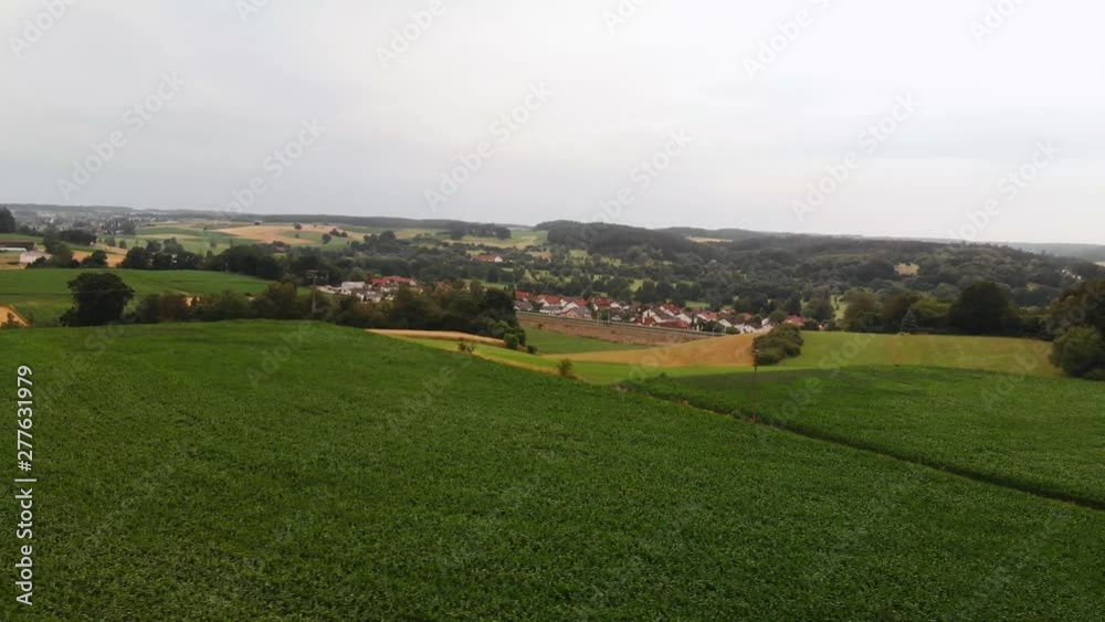 orbit drone shot over a maize field with the view on a small village orbit drone shot over a maize field with the view on a small village