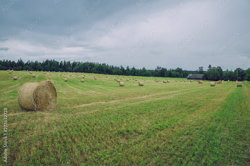 City Cesis, Latvia Republic. Overcast day, meadow hay rolls and trees around. July 7. 2019 Travel photo. City Cesis, Latvia Republic. Overcast day, meadow hay rolls and trees around. July 7. 2019 Travel photo.