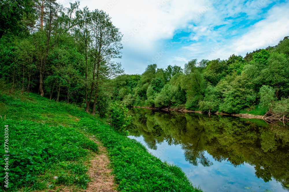 river in the forest