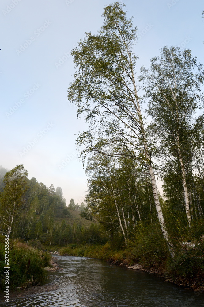 Fototapeta premium Early morning on a mountain river Yarovka in Western Siberia