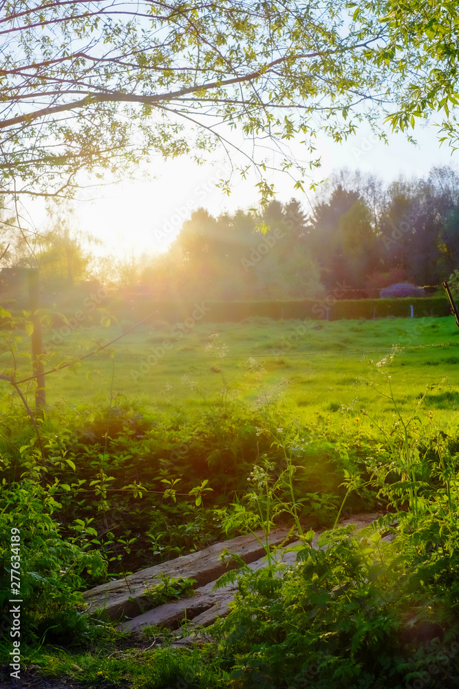 Fototapeta premium Natural Sunset or Sunrise Over Field Or Meadow with a Bright Dramatic scenic and colorful Sky against a Dark Ground.