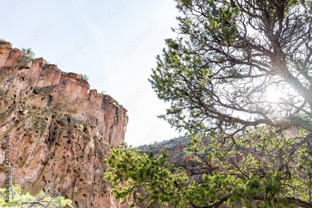 Low angle view of canyon cliffs at Main Loop trail in Bandelier National Monument in New Mexico with sun behind tree in Los Alamos