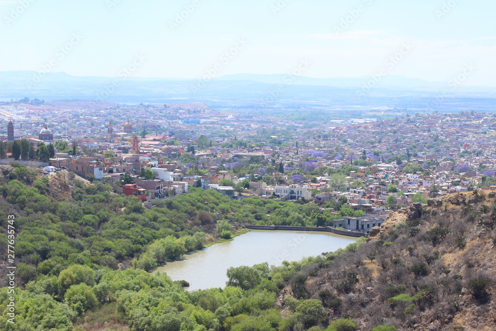 Vista panorámica de San Miguel de Allende 