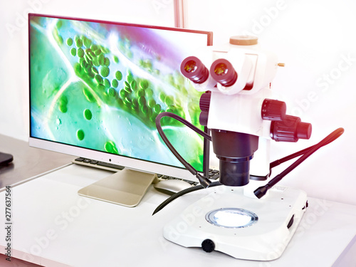 Research stereo microscope with monitor