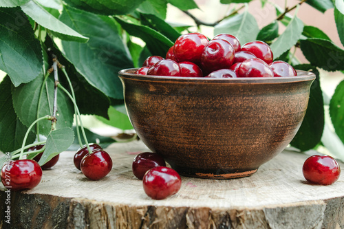 Cherry in a ceramic bowl and a branch of a cherry tree. Sweet organic berries on old wooden boards.