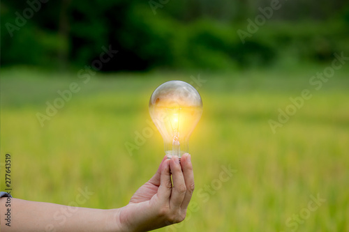 woman holding light bulb in her hand
