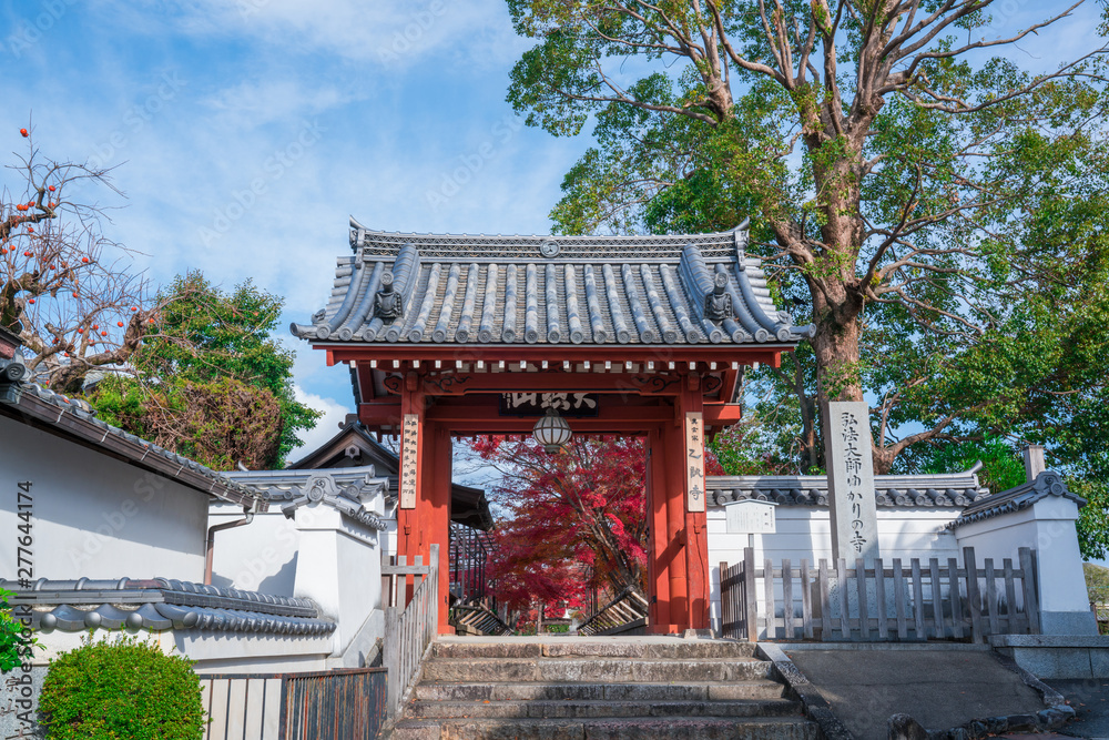 京都　乙訓寺（おとくにでら）の山門と紅葉