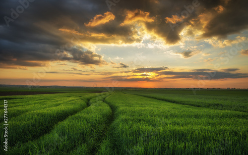 sunset over green field