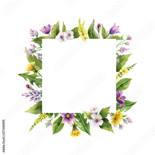 Watercolor hand vector painted frame with field flowers.