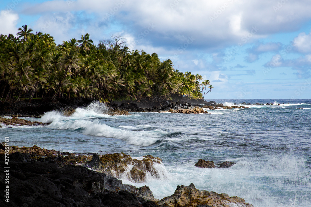 Küste Hawaii