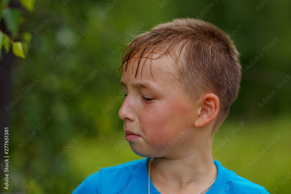 a boy in a blue t-shirt ,shot on a cloudy summer day