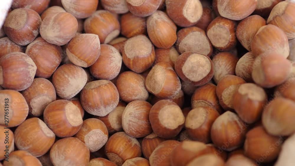 group of freshly picked hazelnuts. Taste, food, snacks group of freshly picked hazelnuts. Taste, food, snacks
