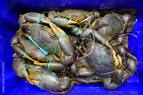 Mud crab (Scylla serrata) for sale at a seafood market in Sydney, Australia photo