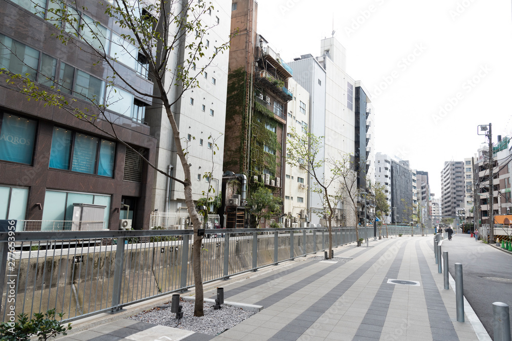 Fototapeta premium shibuya city