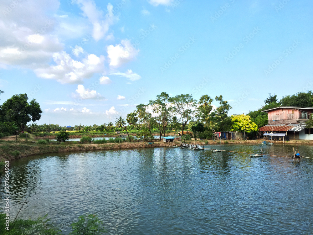 View park for relax and nature fresh background View park for relax and nature fresh background