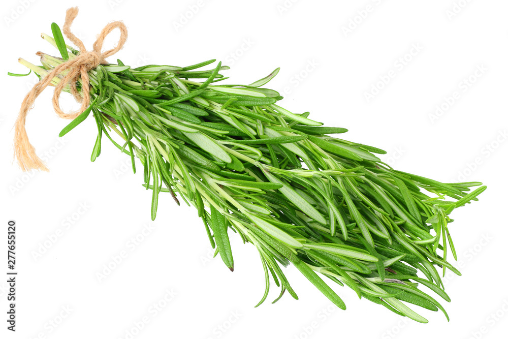 fresh rosemary leaves isolated on white background. fresh rosemary leaves isolated on white background.