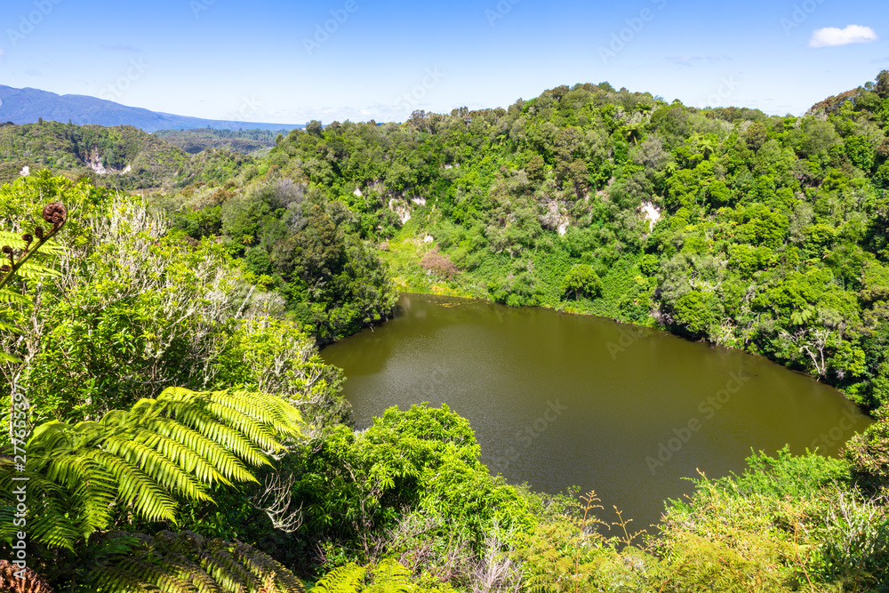 Obraz premium volcanic activities at waimangu