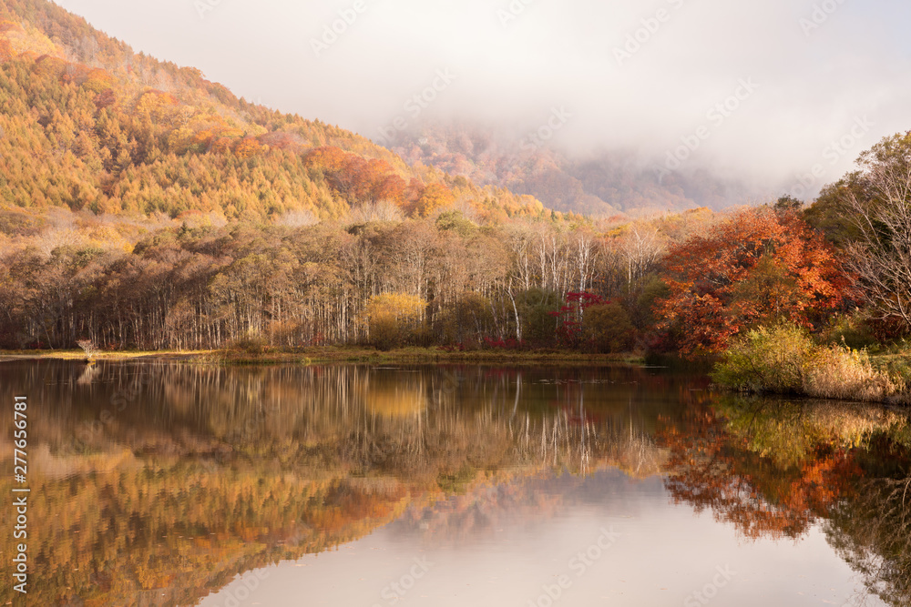 Fototapeta premium 長野県 戸隠高原 鏡池 紅葉