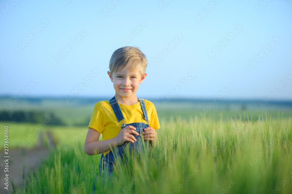 Fototapeta premium Little boy in the cereal