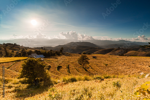 Dramatic sunset over a rice terraces of Papongpieng village, Chiang Mai, Thailand photo