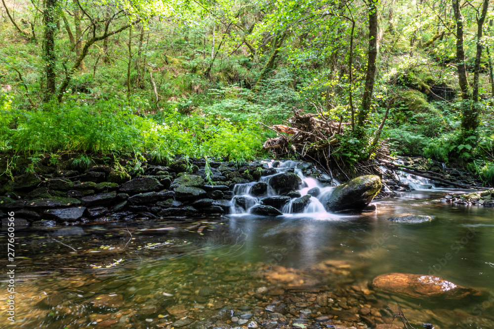 pequeña cascada en el bosque rodeada de arboles verdes y rocas mojadas, con agua cayendo con efecto seda pequeña cascada en el bosque rodeada de arboles verdes y rocas mojadas, con agua cayendo con efecto seda