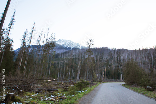 On the way to the sea eye in Poland. The road to the forest. Tatras. Slovakia.