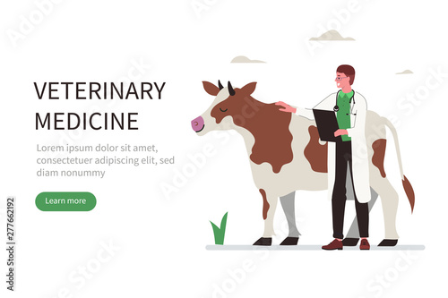 veterinarian and cow