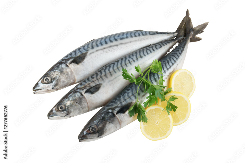 Mackerel fish (Scomber scrombrus) with lemon and parsley isolated on white background Mackerel fish (Scomber scrombrus) with lemon and parsley isolated on white background