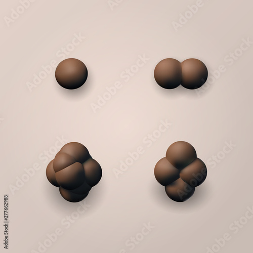 The process of cell division.