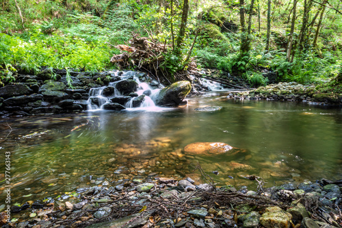 Foto pequeña cascada en el bosque rodeada de arboles verdes y rocas mojadas, con agua
