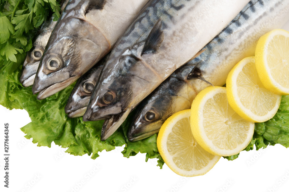 Mackerel fish with greens and lemon isolated on white Mackerel fish with greens and lemon isolated on white