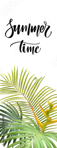 Summer tropical design with exotic palm leaves and plants. Jungle vector floral template for flyer or banner. Vector illustration.
