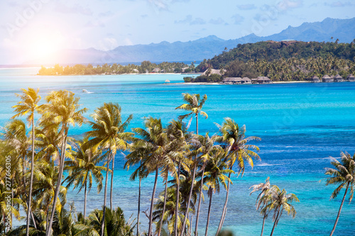 Blue lagoon of the Bora Bora island, Polynesia. Top view on palm trees and the sea..