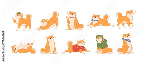 Bundle of cute kawaii dog of Japanese breed isolated on white background. Collection of adorable Shiba Inu or Akita Ken pup playing, barking, stretching, walking. Flat cartoon vector illustration.