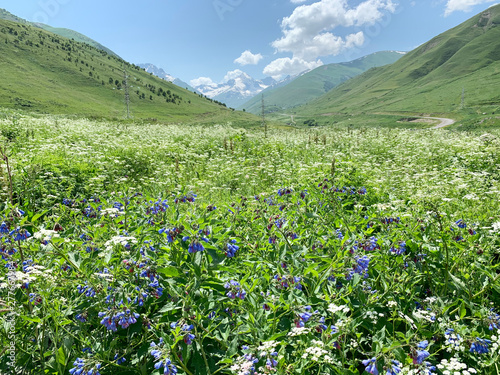 Summer in Mamison gorge. Russia, North Ossetia - Alania photo