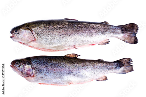 Gutted rainbow trout, isolated on white