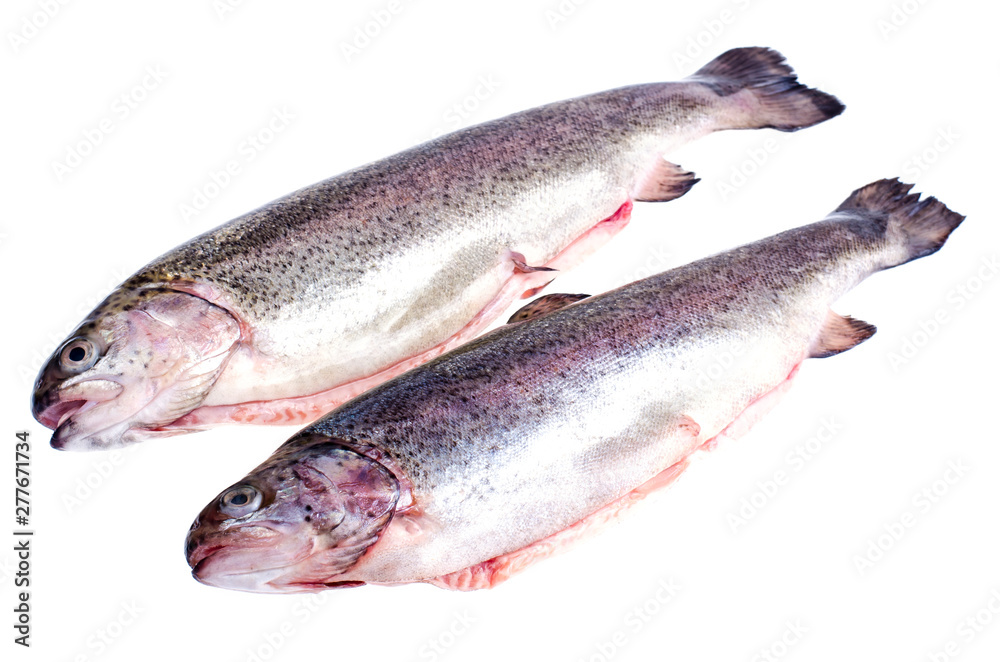 Gutted rainbow trout, isolated on white Gutted rainbow trout, isolated on white
